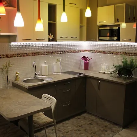 Daire Ozo Apartamentai *
