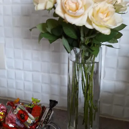 Daire Ozo Apartamentai Vilnius